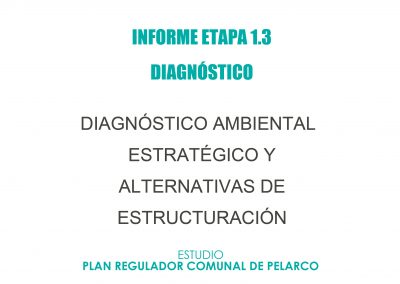 E 1.3 Informe de diagnóstico ambiental estratégico.